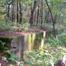 Poniemiecka rampa wyładowcza - strara trasa szprotawska - panoramio