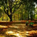 PARKSLO