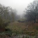 Gesnik4